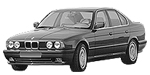 BMW E34 P0D1F Fault Code
